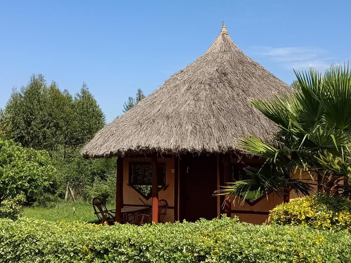 The Great Circle Lodge แนนยูกี ภายนอก รูปภาพ