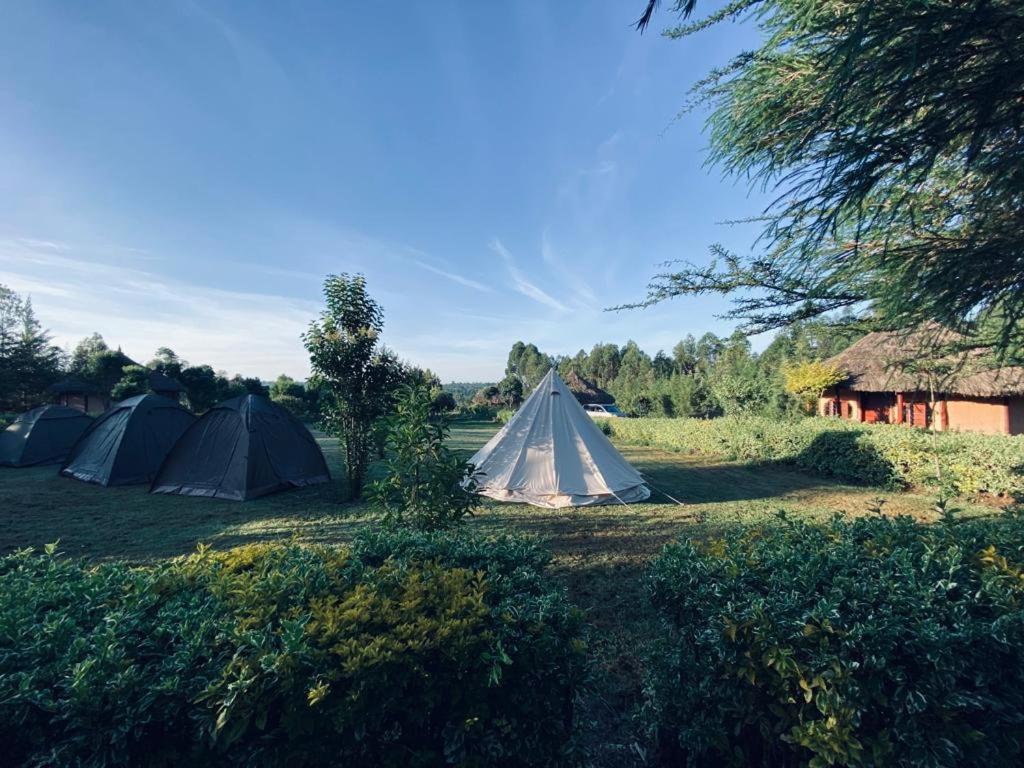The Great Circle Lodge แนนยูกี ภายนอก รูปภาพ